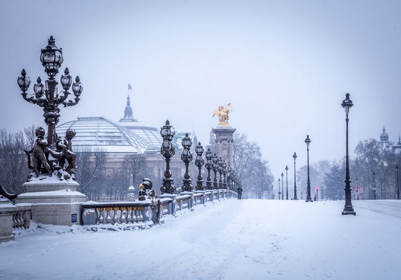 Мост Александра III в Париже зимой