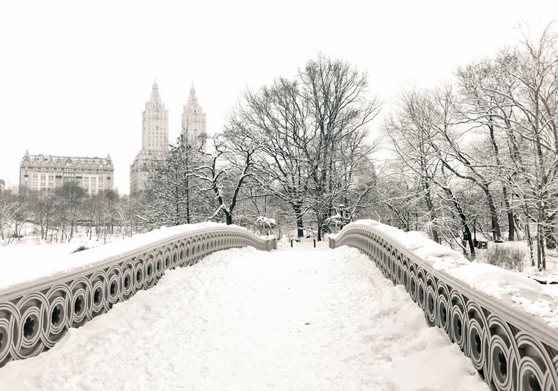 Нью-Йорк зимой снег в большом городе  (12)