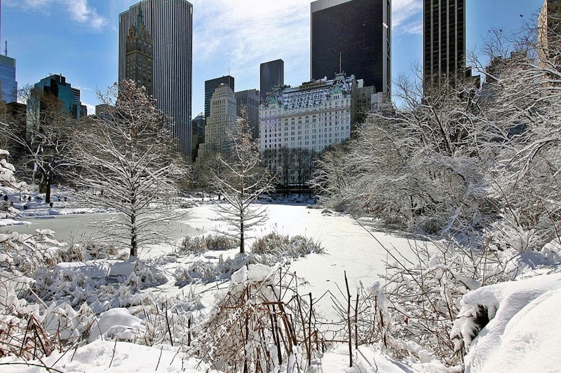 Нью-Йорк зимой снег в большом городе  (13)