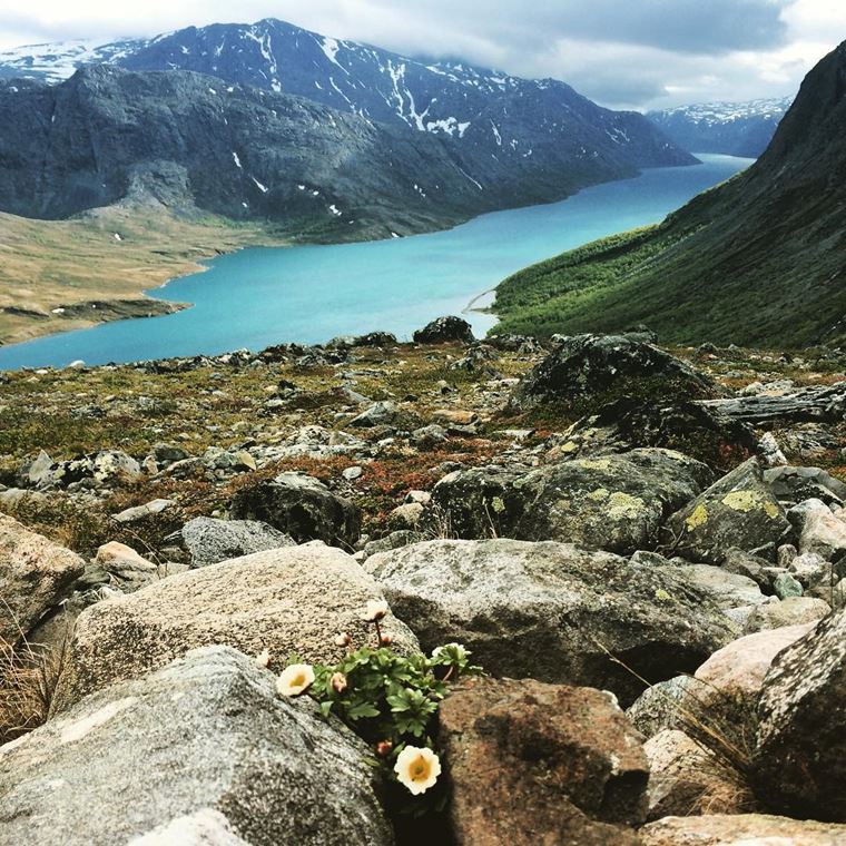 Места Норвегии, которые нужно посетить: Национальный парк Йотунхеймен