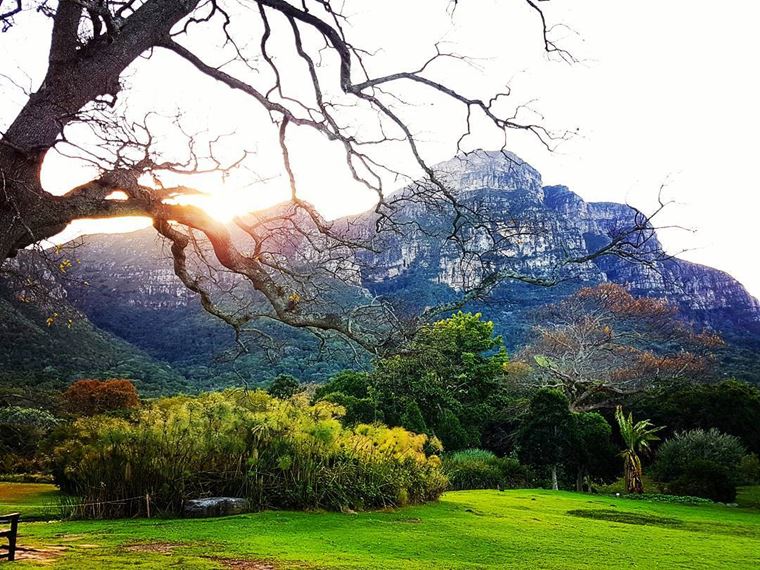Красивые парки и сады мира - Кирстенбош в Африке