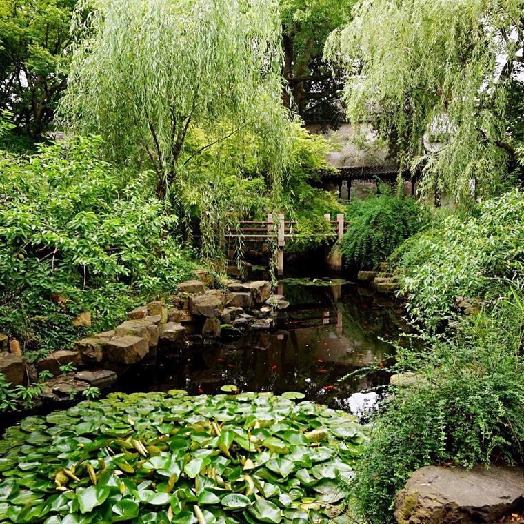 Красивые парки и сады мира -  Сучжоу в Китае