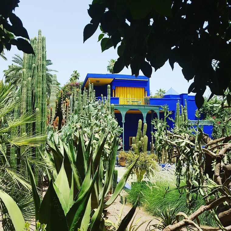 Красивые парки и сады мира - Мажорель в Марокко