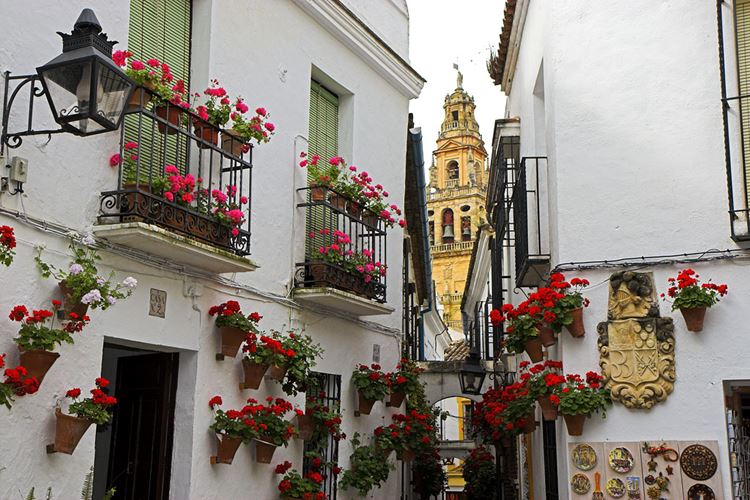 Самые известные и красивые улицы мира - Каллеха-де-лас-Флорес в Кордове (Испания)