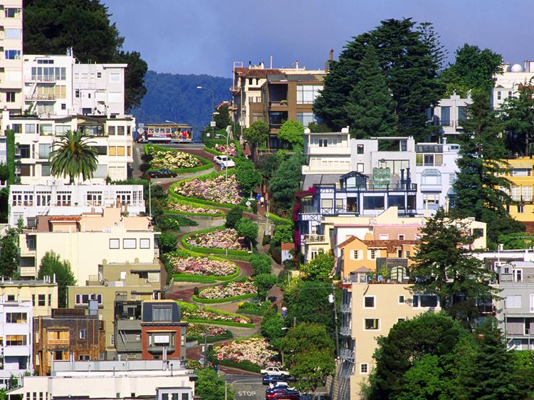 Самые известные и красивые улицы мира - Ломбард стрит в Сан-Франциско (США)