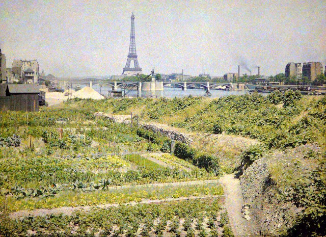 Старый Париж: редкие цветные фото - зелёное поле с Эйфелевой башней вдали