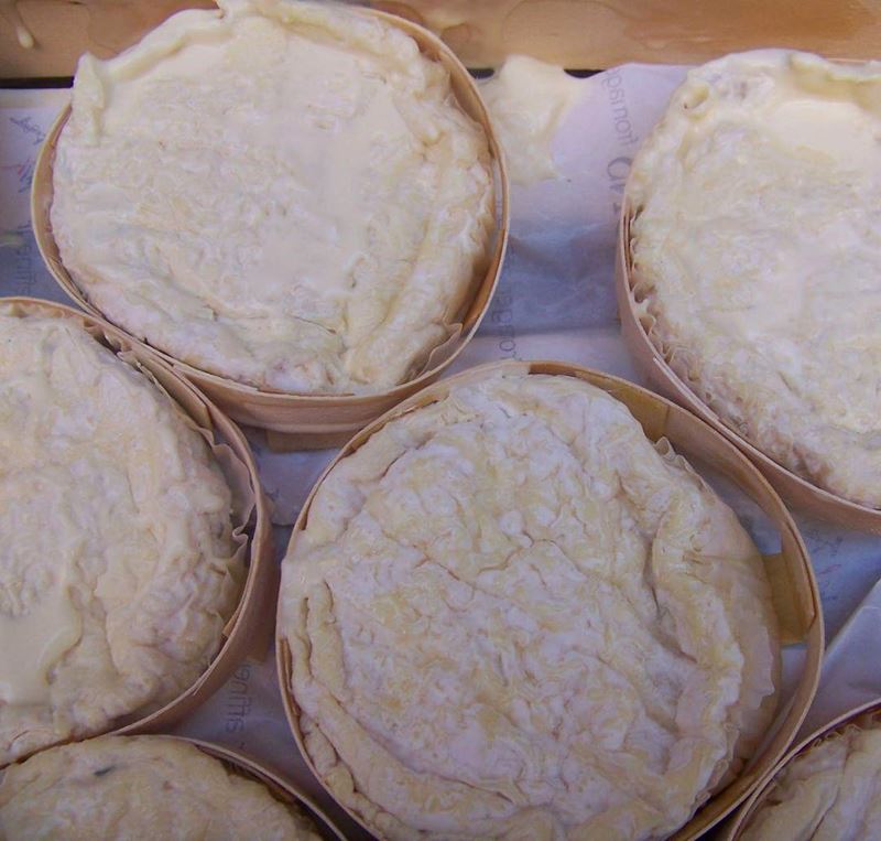 Сорта французского сыра - Сен-Фелисьен, мягкий круглый