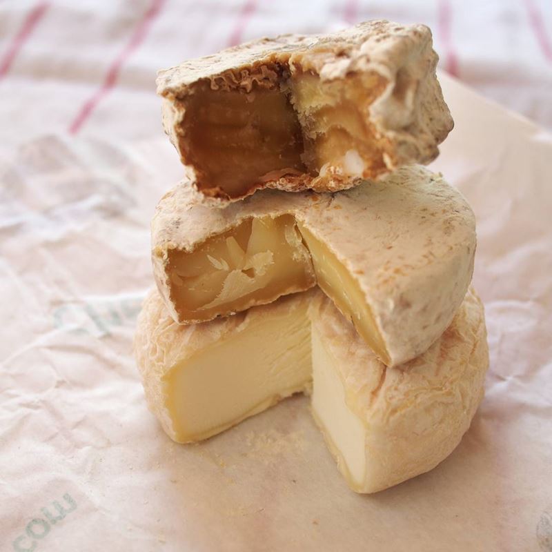 Сорта французского сыра - Пикодон, мягкий козий круглый