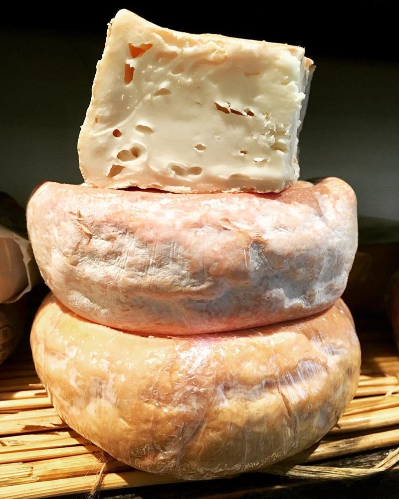 Сорта французского сыра - Шевротен, козий с белой плесенью