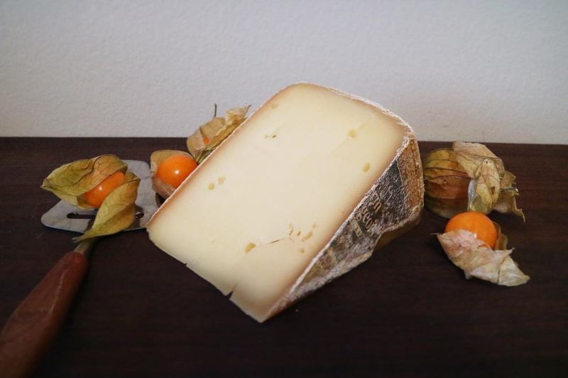 Сорта швейцарского сыра - Вашрен Фрибуржуа - полутвёрдый с небольшими дырками для натирания и фондю