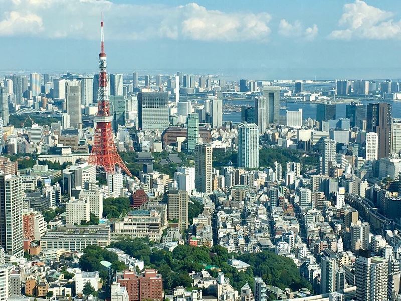 Самые безопасные и опасные города мира 2017 - вид сверху на Токио 