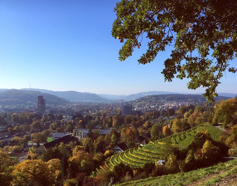 Красивые города Швейцарии: вид с горы на Винтертур