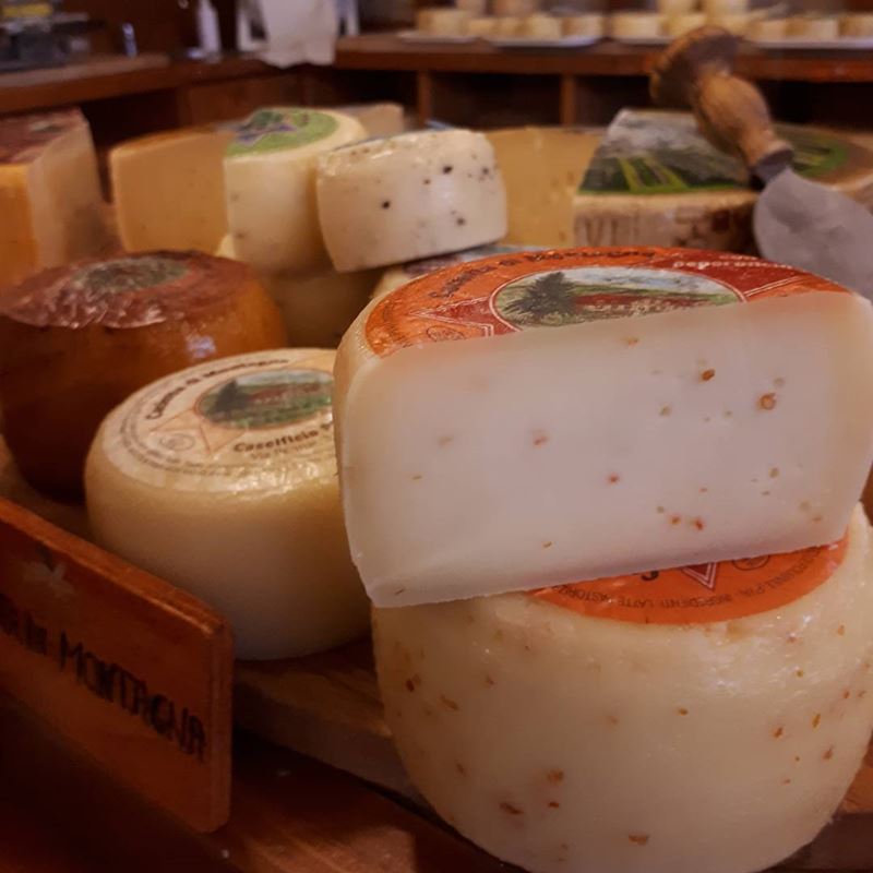 Сорта итальянского сыра: Азиаго (Asiago)