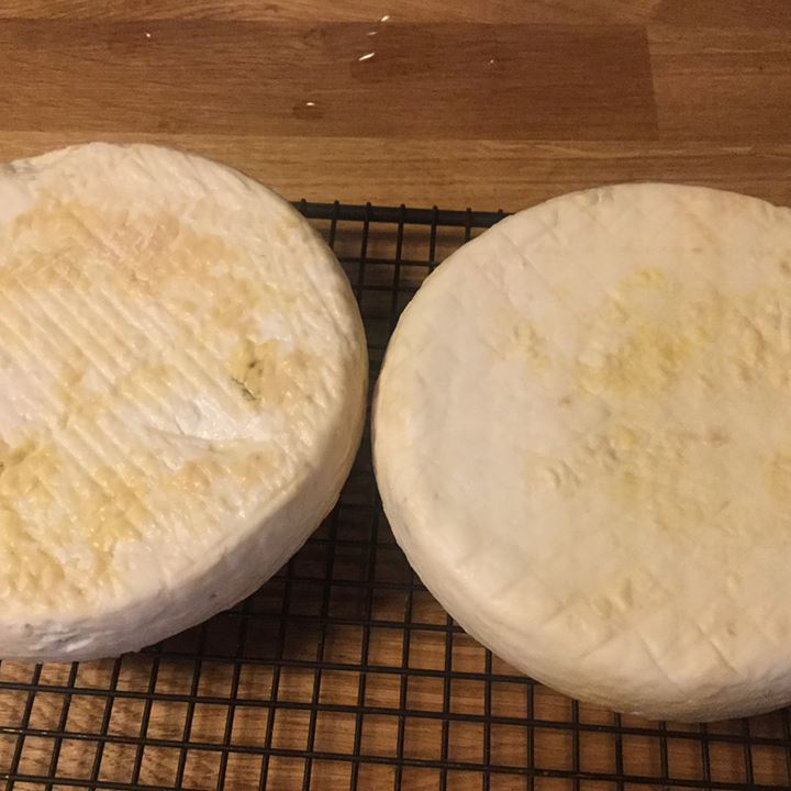 Сорта итальянского сыра: Бель-паэзе (Bel Paese)