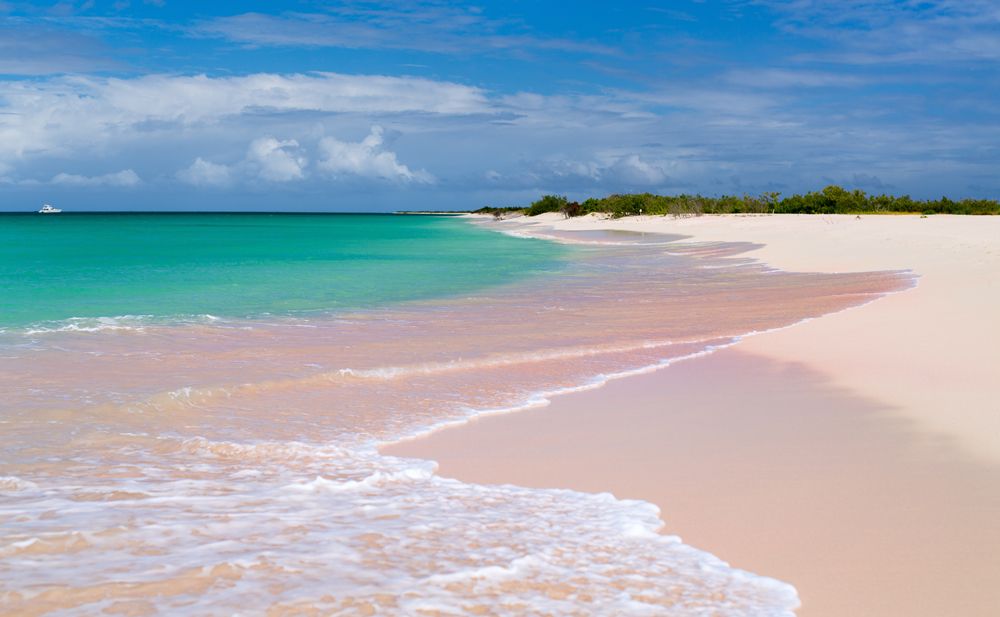 Цветные пляжи мира - Розовый пляж (Антигуа и Барбуда)
