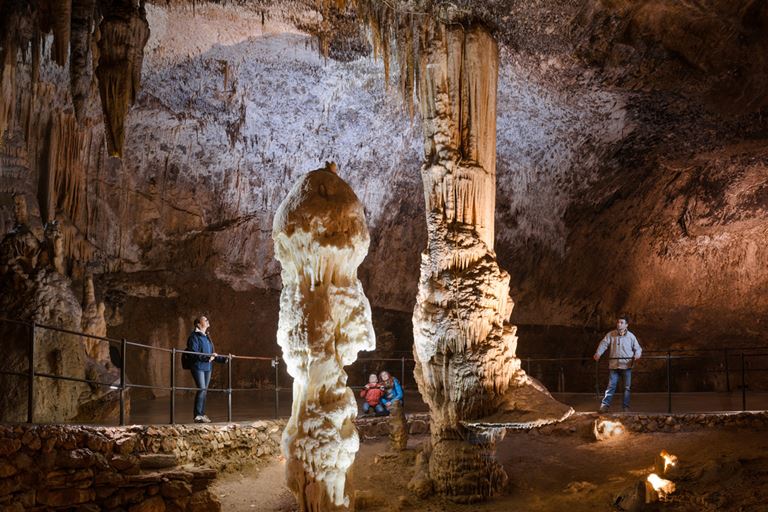 Незабываемая Словения: 9 идей для интересного отдыха - Пещерный парк Постойнска-Яма