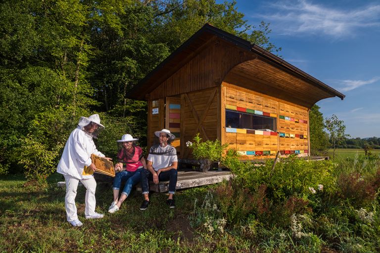 Туризм и пчеловодство: Словения как европейская столица апитуризма