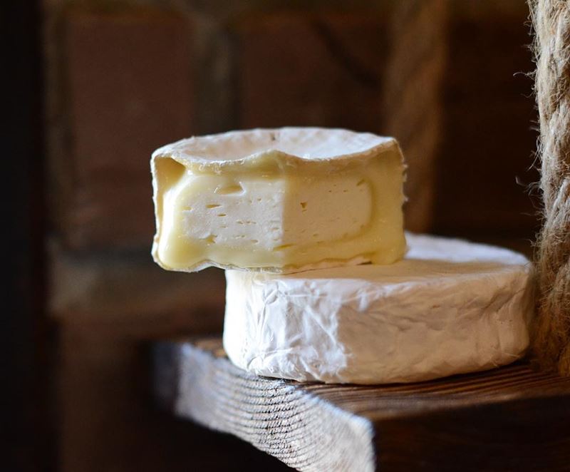 Сорта французского сыра - Камамбер, мягкий с плесневой корочкой