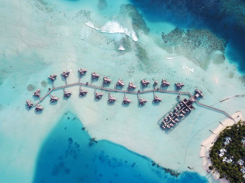 Conrad Maldives Rangali Island предлагает гостям «усыновить» кораллы
