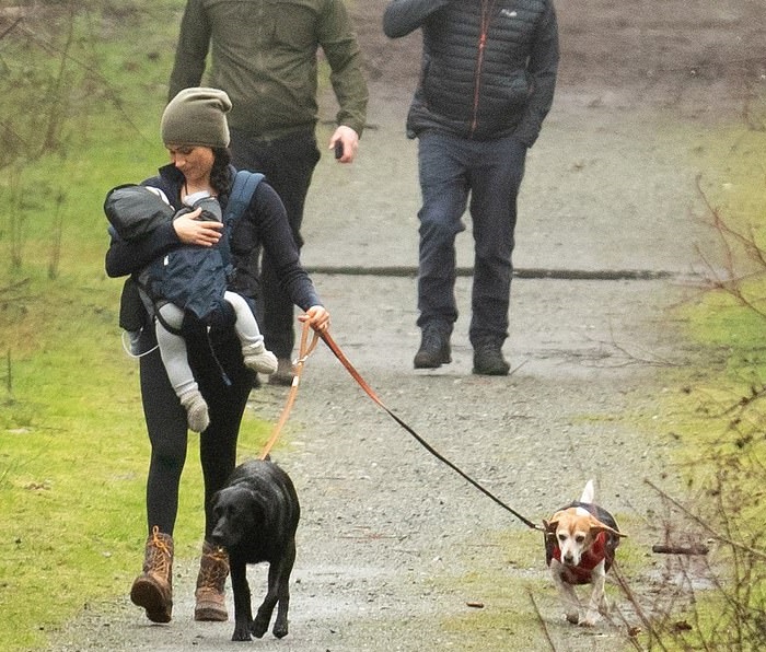 Меган на прогулке с Арчи и двумя собаками в Ванкувере в январе 2020 года 