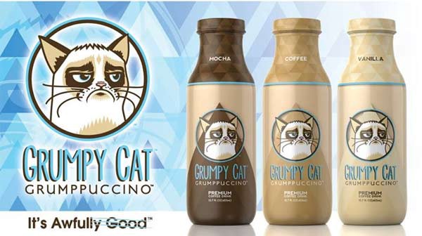 10 фактов о «сердитой кошке» Grumpy Cat - холодный кофейный напиток Grumppucino