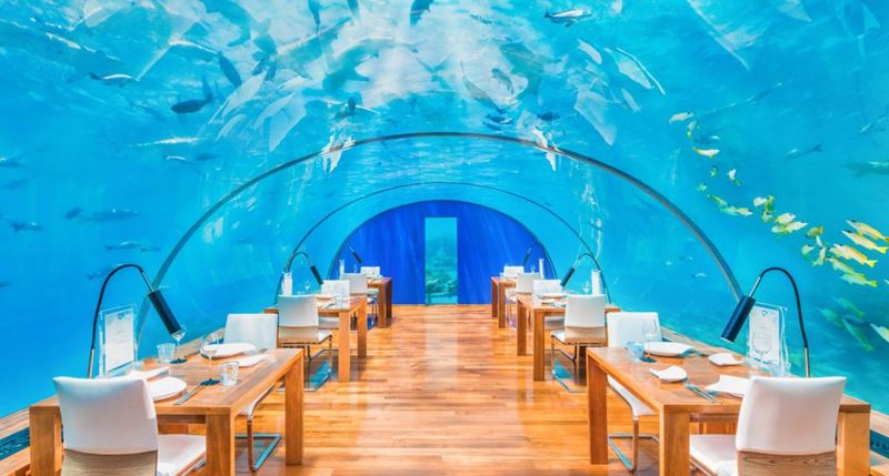 Рестораны Мальдив Conrad Maldives Rangali Island - Подводный ресторан ITHAA