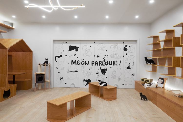 Кошачий рай на Манхэттене - котокафе Meow Parlour в Нью-Йорке - дизайн интерьера